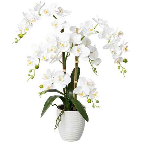 Kunstorchidee Deko-Orchidee Phalaenopsis im Keramiktopf Orchidee Phalenopsis, Creativ green, Höhe 67 cm