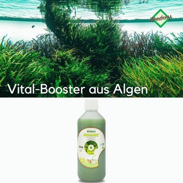 Weedness Gartendünger BioBizz ALG-A-Mic Naturdünger Tomaten Flüssig Orchideen Bio Organische, 500 ml