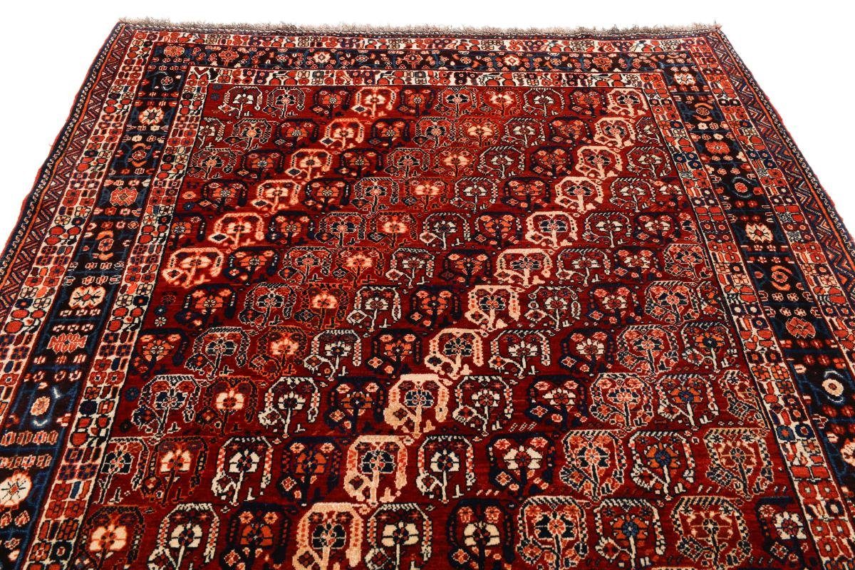 Ghashghai Orientteppich 12 rechteckig, Perserteppich, mm / Nain Höhe: Orientteppich Handgeknüpfter Trading, 167x243