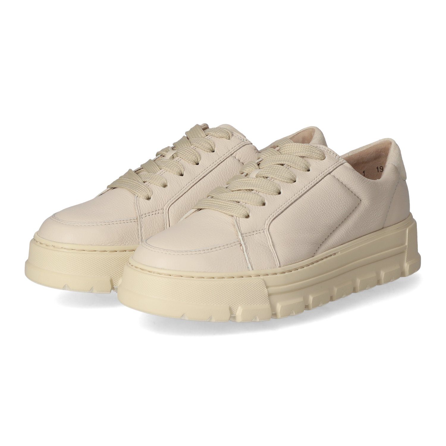 Low Sneaker Sneaker