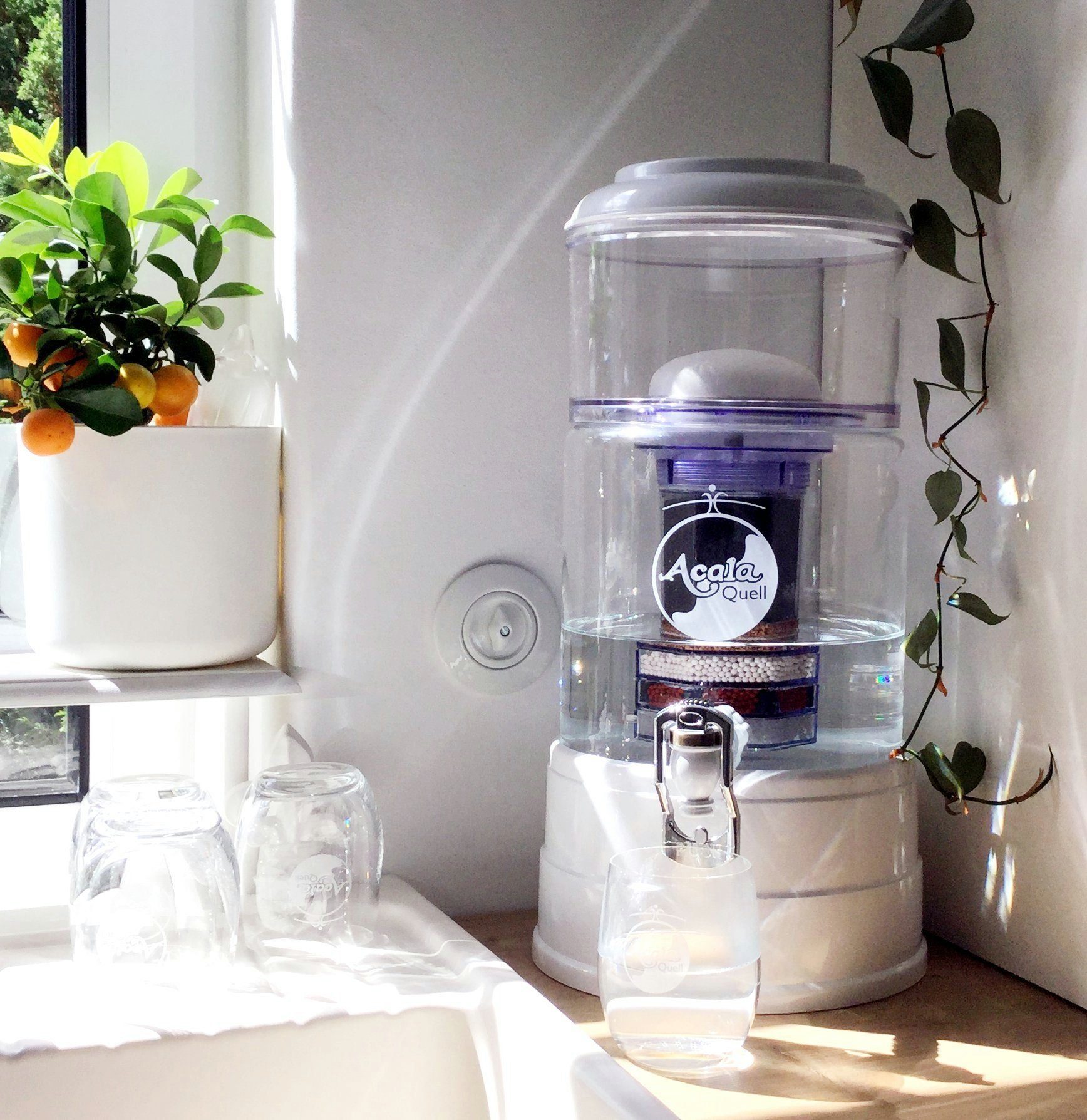 AcalaQuell Wasserfilter Standfilter Mini - mit handgefertigtem Glasbehälter (5Liter), ideal für Singles und Paare