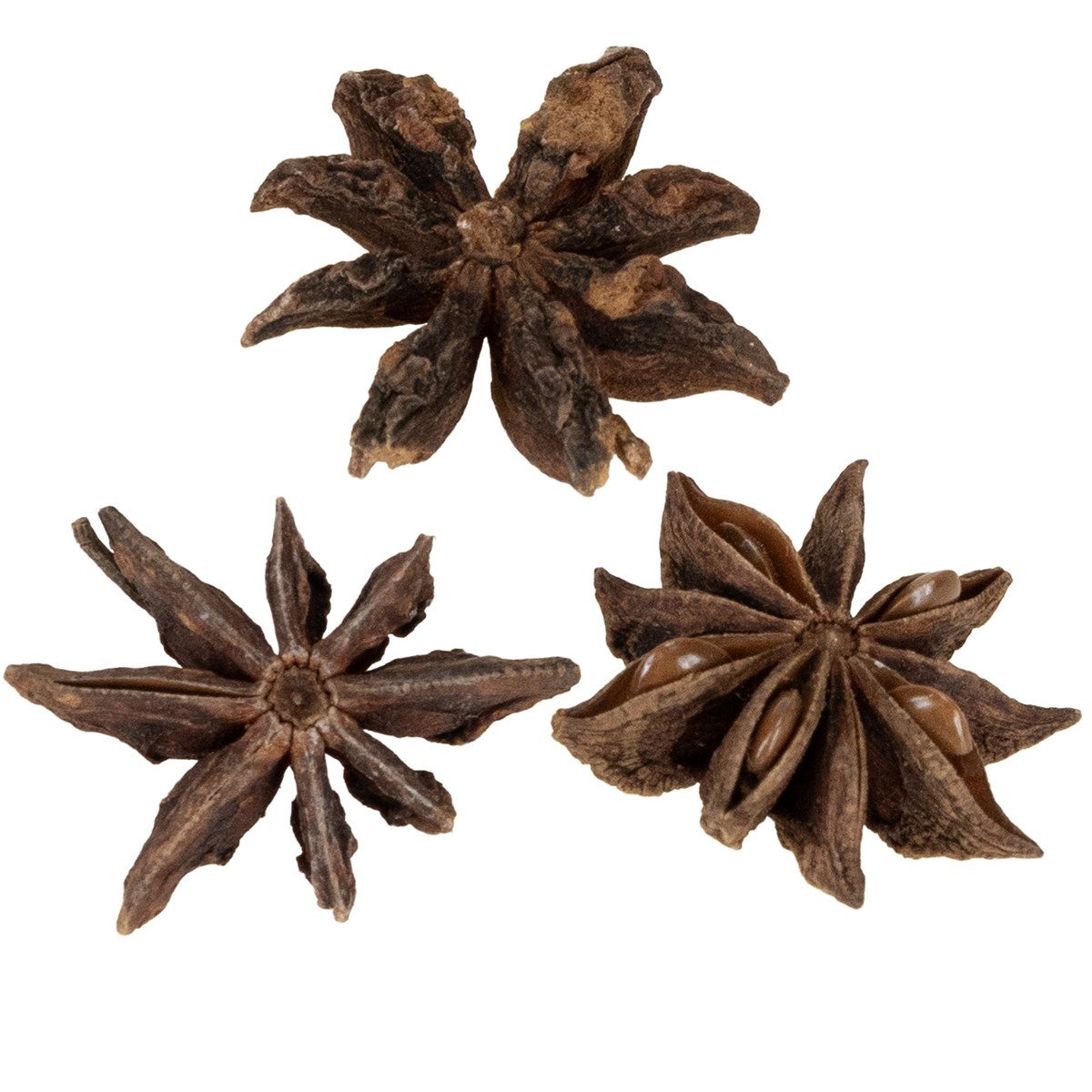 Trockenblume Getrockneter Sternanis 500g - Naturdeko für kreative, Viana, Höhe 2 cm