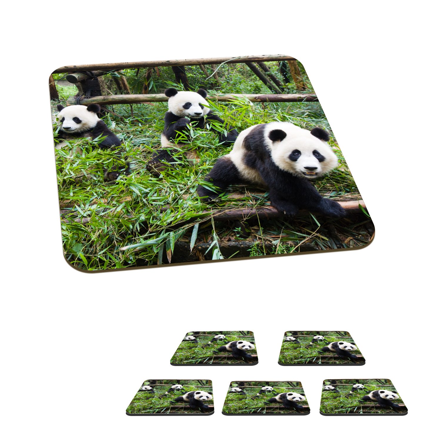 MuchoWow Glasuntersetzer Pandas - Bambus - Blätter, Zubehör für Gläser, 6-tlg., Glasuntersetzer, Tischuntersetzer, Korkuntersetzer, Untersetzer, Tasse