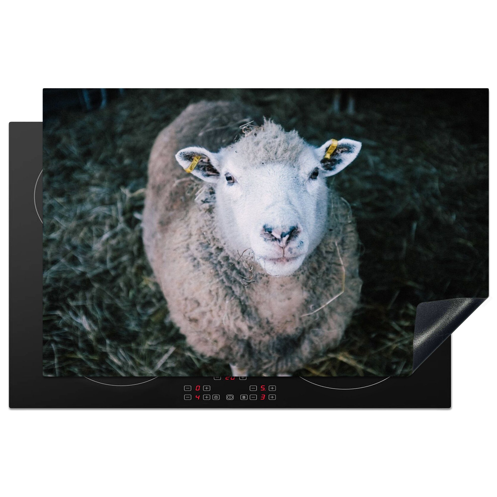 - Vinyl, - tlg), 81x52 Arbeitsplatte für küche MuchoWow Tiere Schafe Rinder, (1 Ceranfeldabdeckung, cm, Herdblende-/Abdeckplatte
