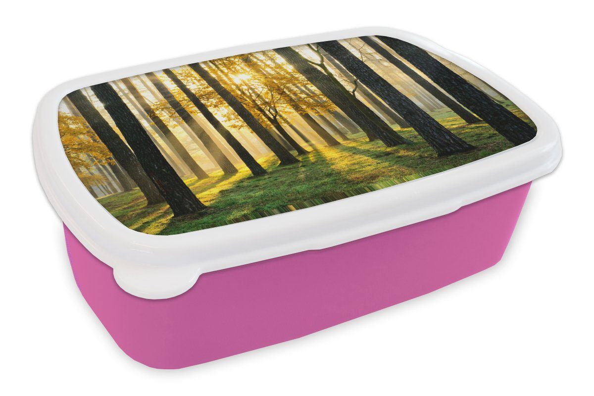MuchoWow Lunchbox Wald - Sonne - Bäume - Gras - Landschaft - Natur, Kunststoff, (2-tlg), Brotbox für Erwachsene, Brotdose Kinder, Snackbox, Mädchen, Kunststoff rosa