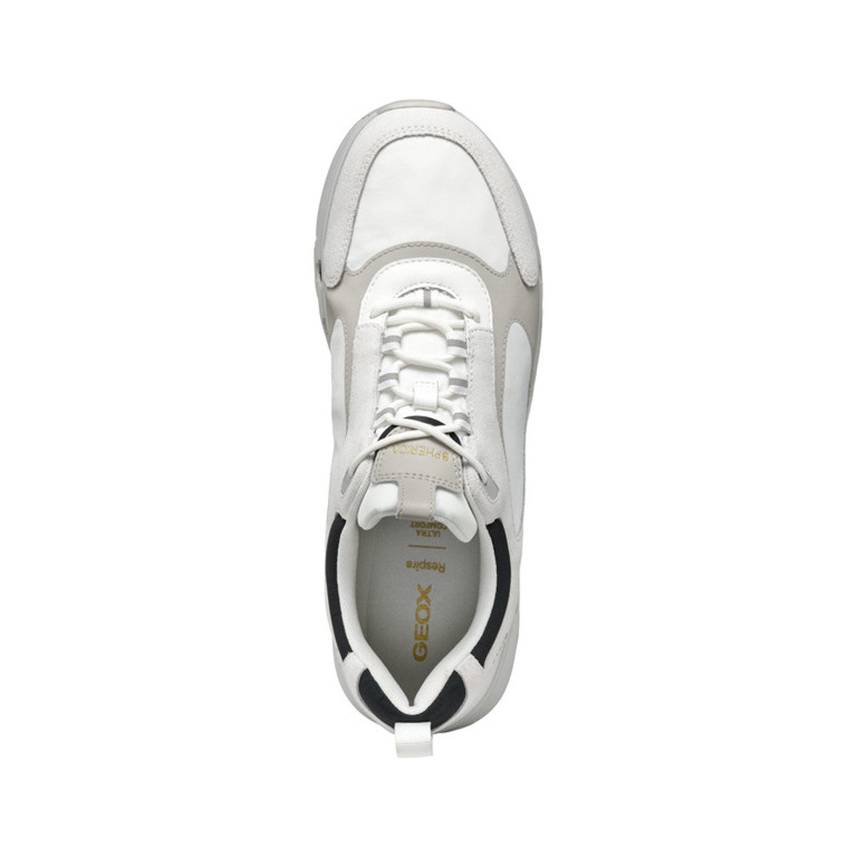 Geox GEOX SPHERICA ECUB, Sneaker in günstig online kaufen