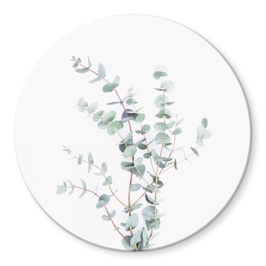 K&L Wall Art Rund Deko Bilder Sisi & Gemälde Wandbild Glasbild Glas Eukalyptus floral Seb Pflanze, Wandschutz