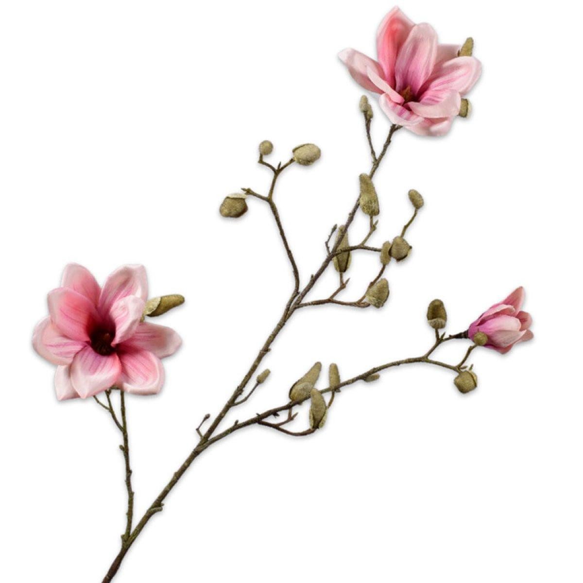 Künstliche Zimmerpflanze Seidenblume Magnolie Magnolia (103cm), SILK-KA