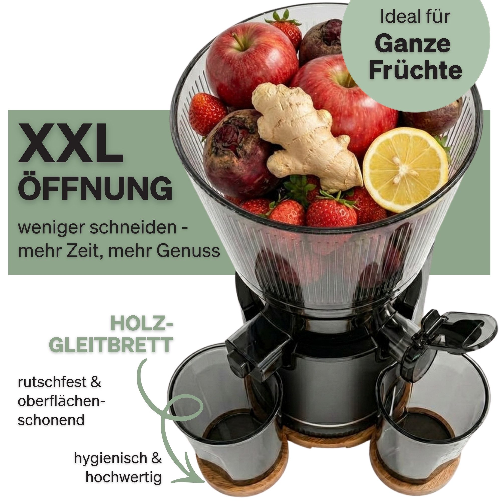 FERNHOLD Slow Juicer Entsafter für ganze Früchte & Gemüse, Kaltentsafter mit 130 mm Öffnung, 250 W, 1,8 l Saftbehälter, BPA-frei, Inkl. 2 Gläsern & Saftrezepte