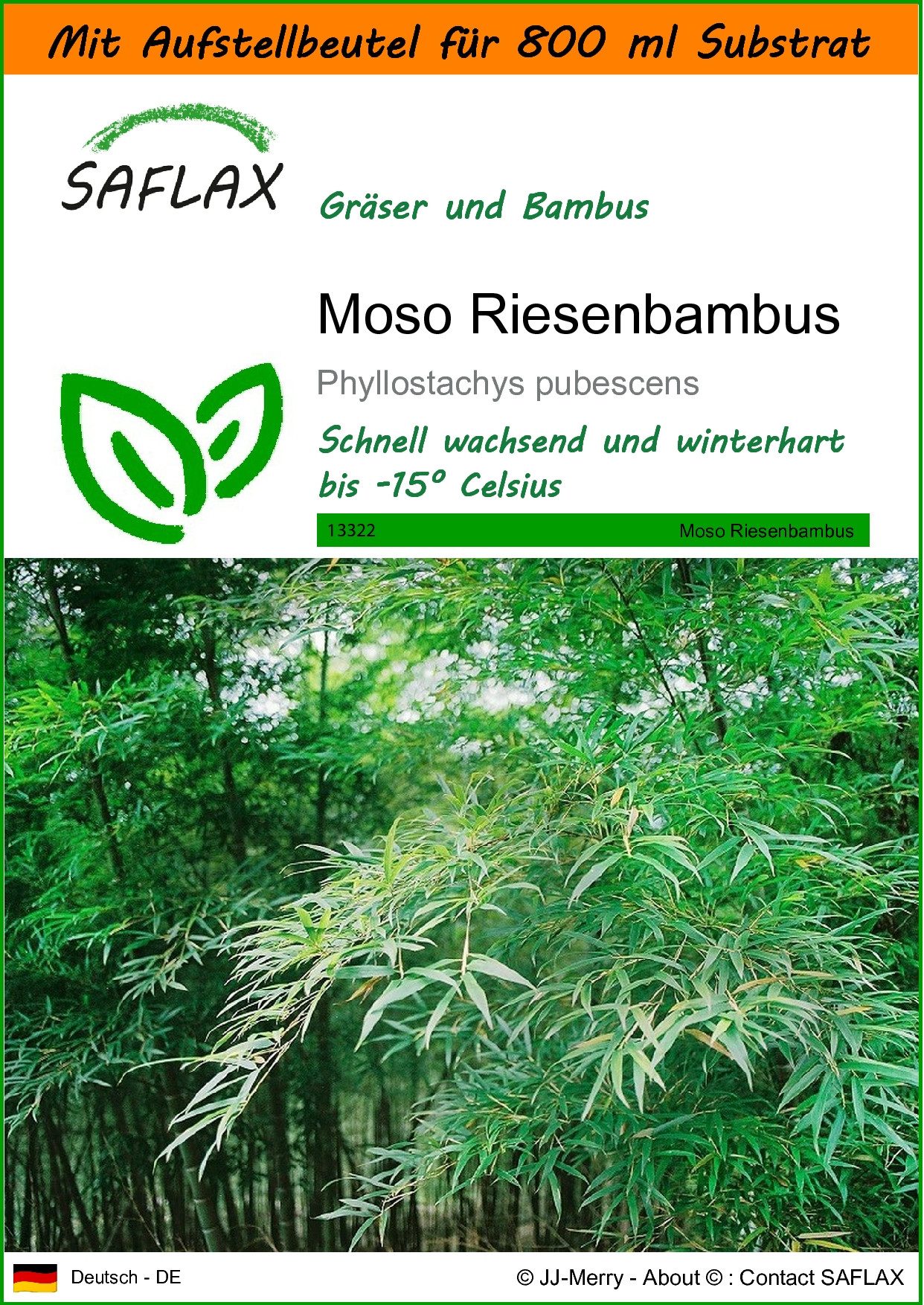 Blumensamen SAFLAX - Garden in the bag - Moso Riesenbambus