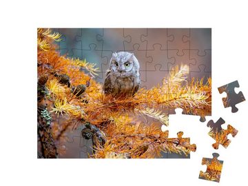 puzzleYOU Puzzle Zwergohreule, Otus scops, eine typische Eule, 48 Puzzleteile, puzzleYOU-Kollektionen Vögel, Eulen, Exotische Tiere & Trend-Tiere