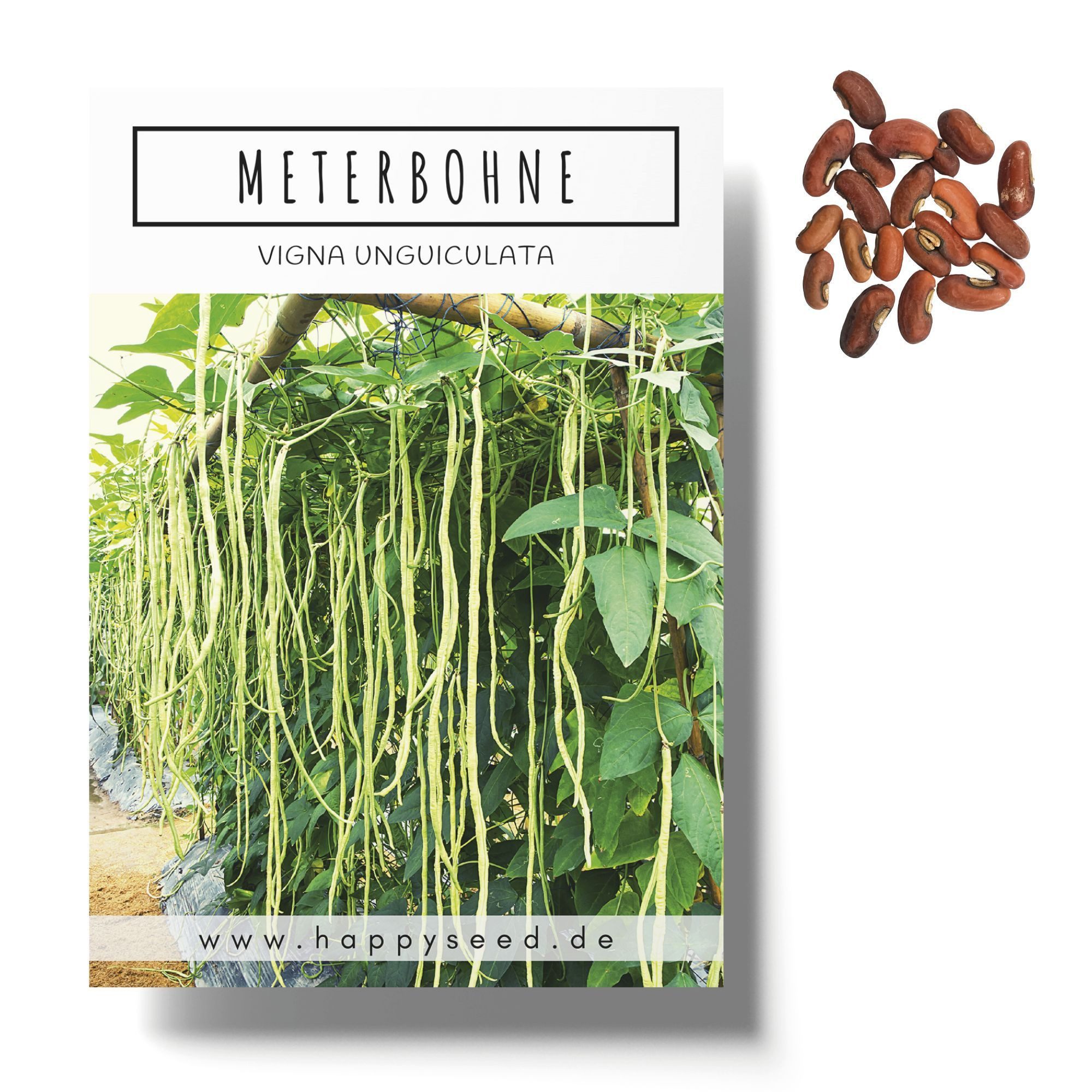 HappySeed Gemüsesamen Meterbohne Samen - Vigna günstig online kaufen