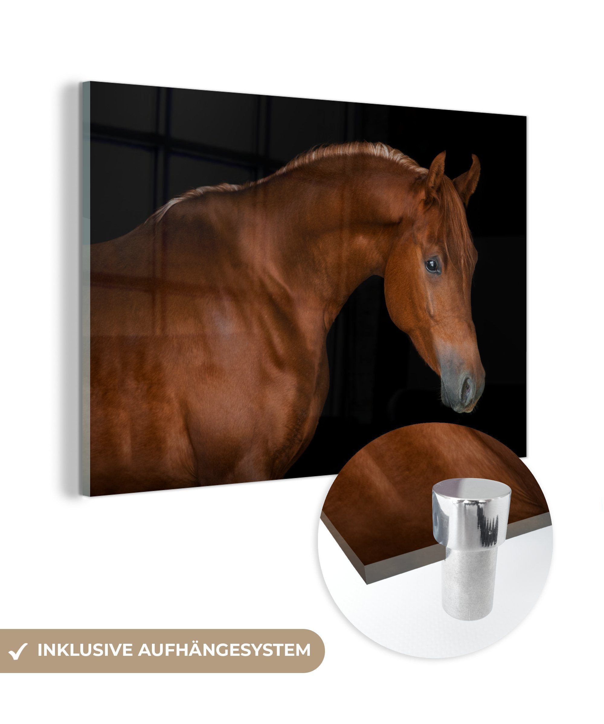 auf Braun, auf - Schwarz - Acrylglasbild - - Wanddekoration Glas MuchoWow Bilder Foto St), Pferd Glasbilder - Glas (1 Wandbild