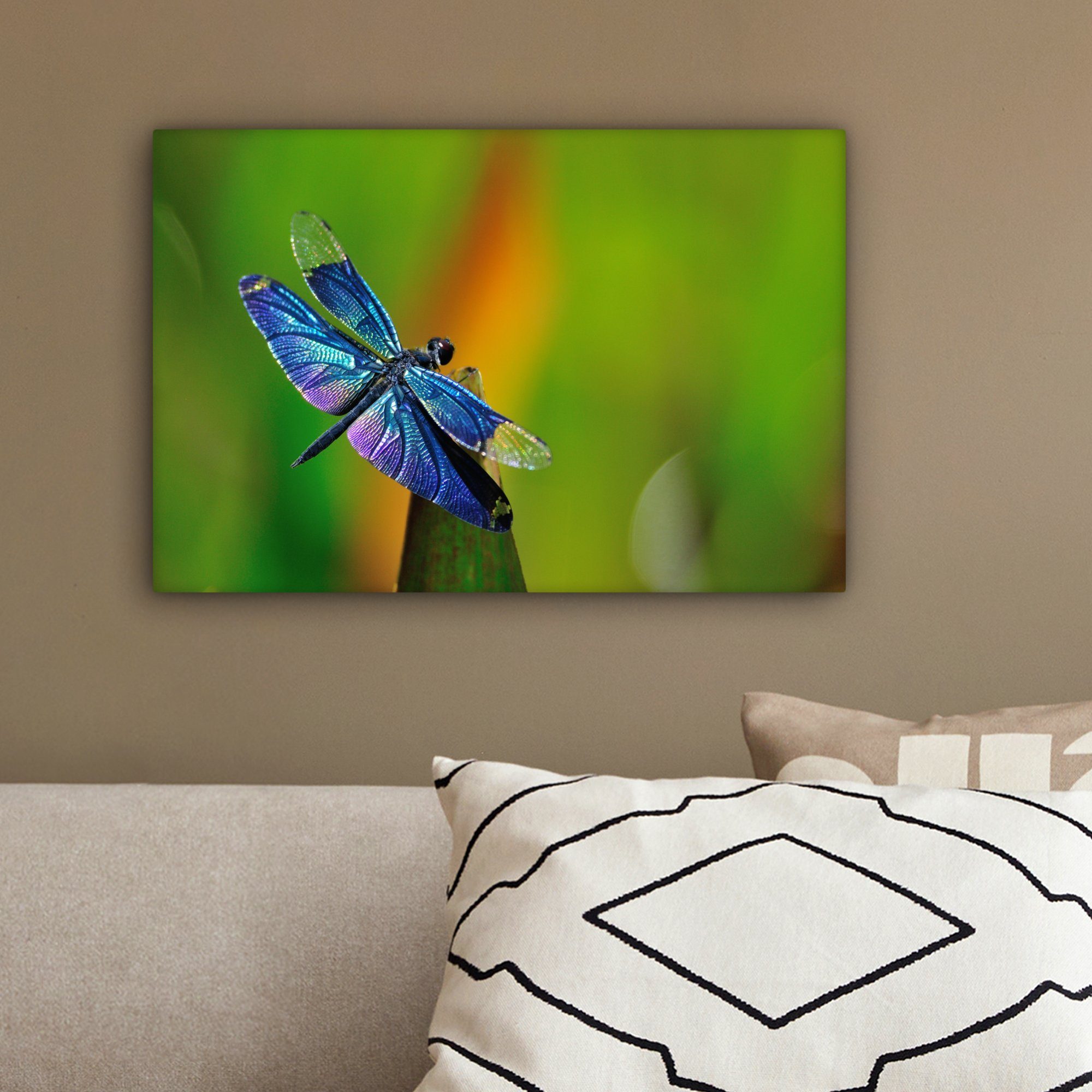 OneMillionCanvasses® Leinwandbild Eine cm (1 St), Aufhängefertig, Wandbild Libelle, 30x20 Wanddeko, blaue Leinwandbilder