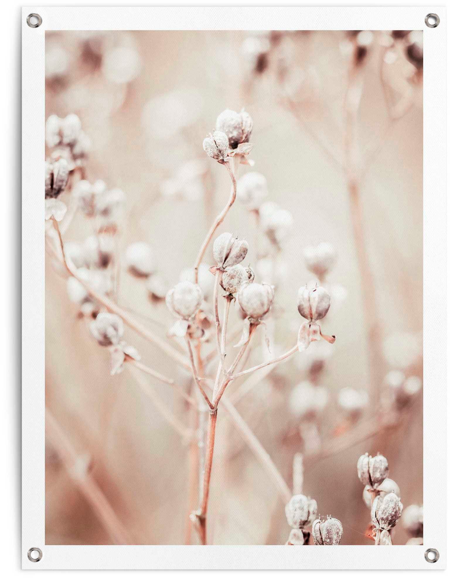 Reinders! Poster Getrockneter Zweig