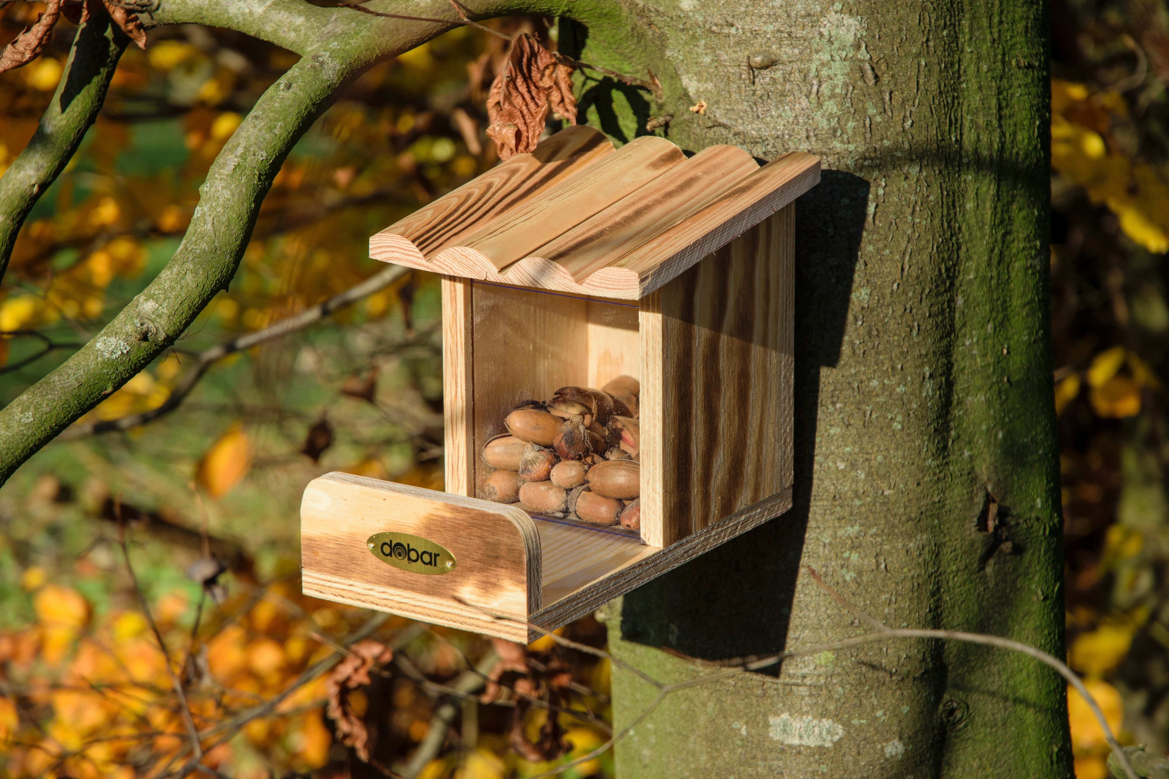 dobar Kleintierstall Eichhörnchen-Futterstation, geflammt