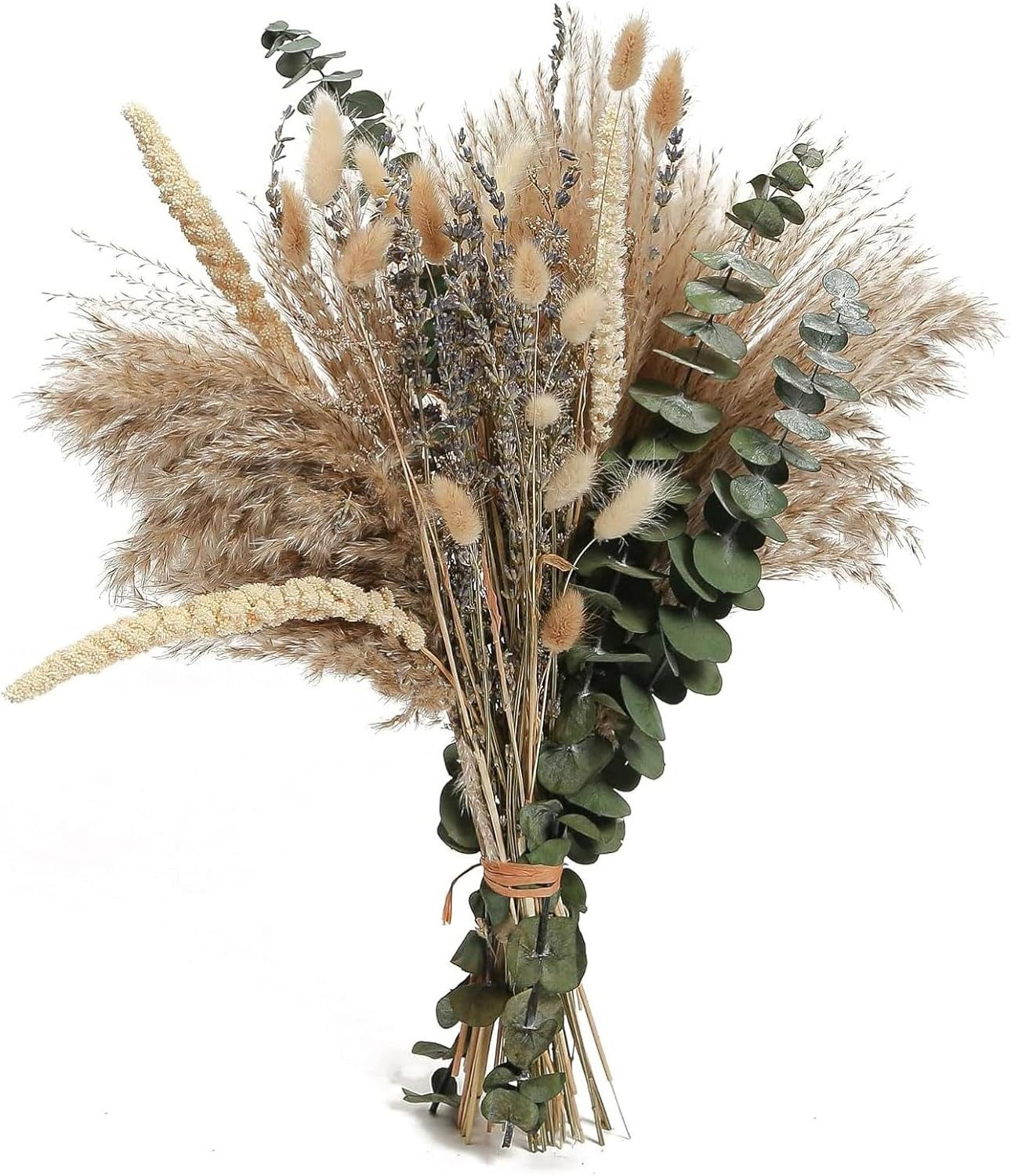 Trockenblume 89 STK Pampasgras Deko Boho günstig online kaufen