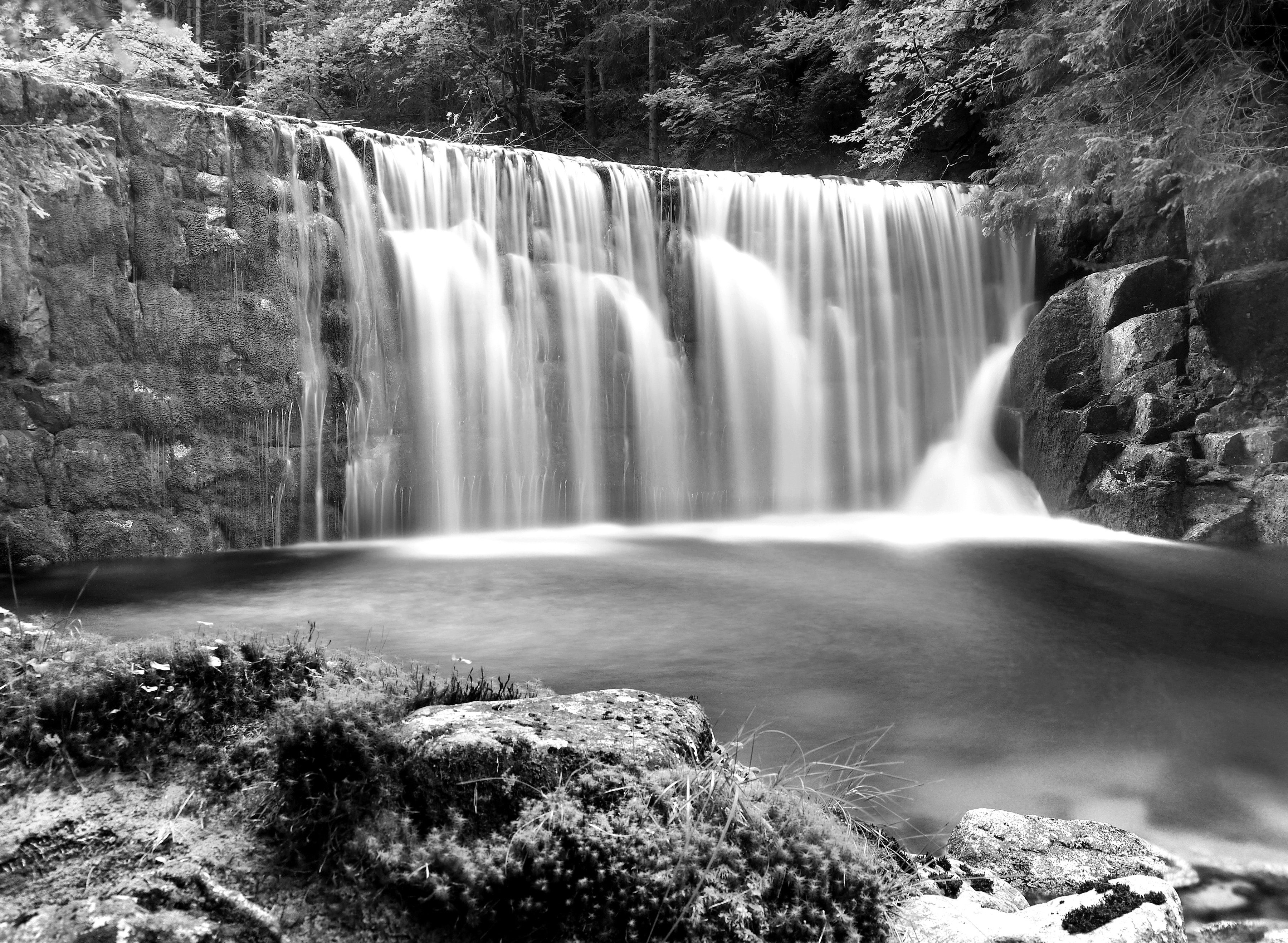 Fototapete Wasserfall im Wald Schwarz & Weiß
