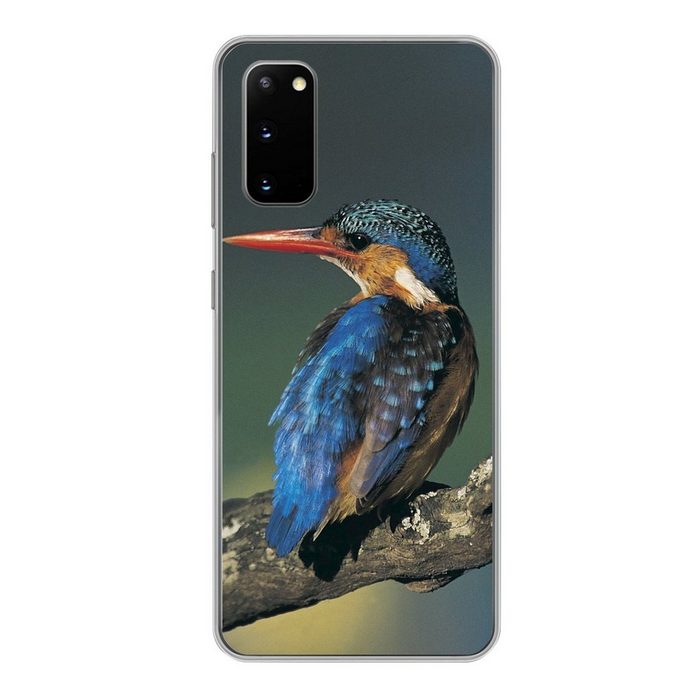 MuchoWow Handyhülle Eisvogel - Tier - Farbenfroh Phone Case Handyhülle Samsung Galaxy S20 Silikon Schutzhülle