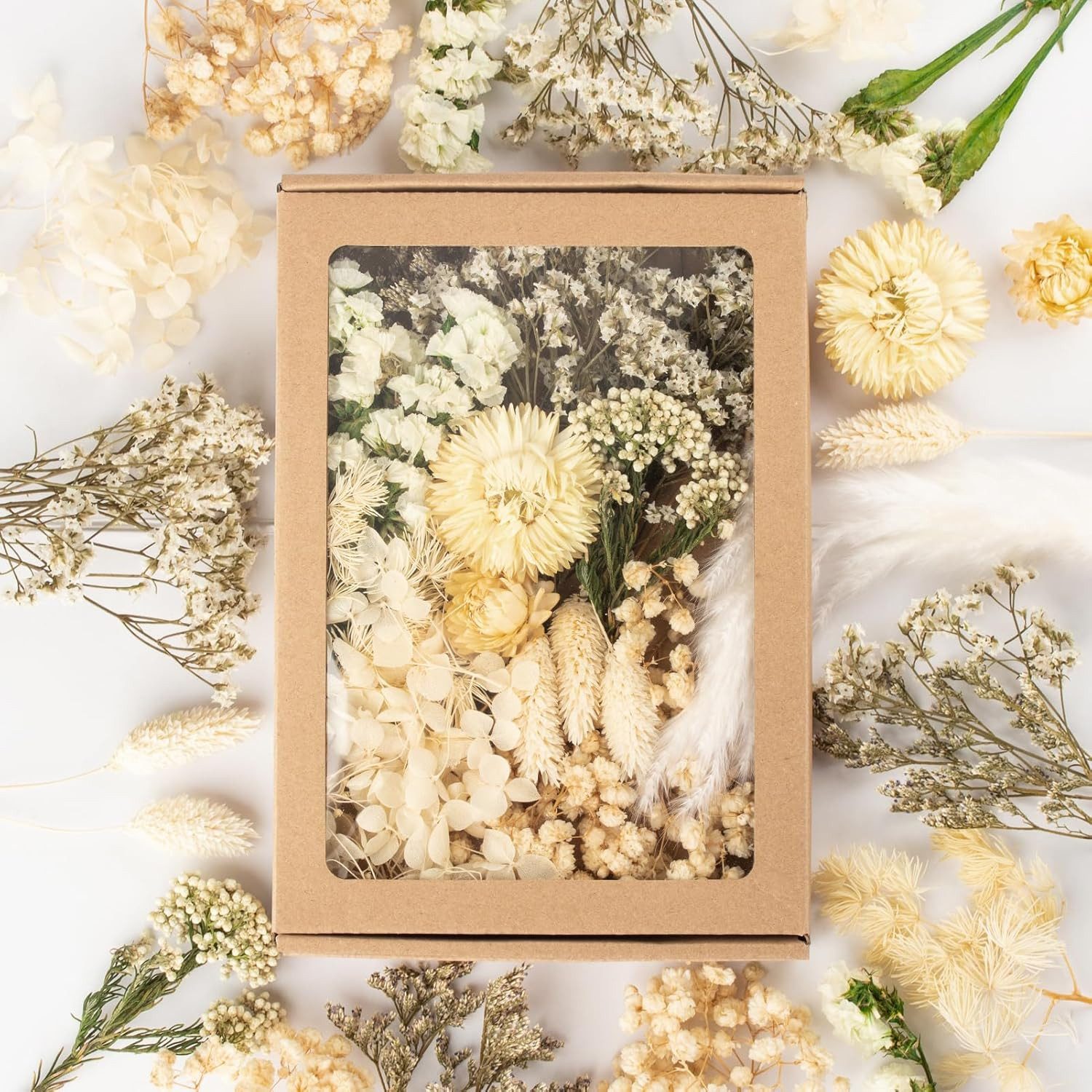 Trockenblume Klein Trockenblumen Deko Trockenblumen mit Papierbox