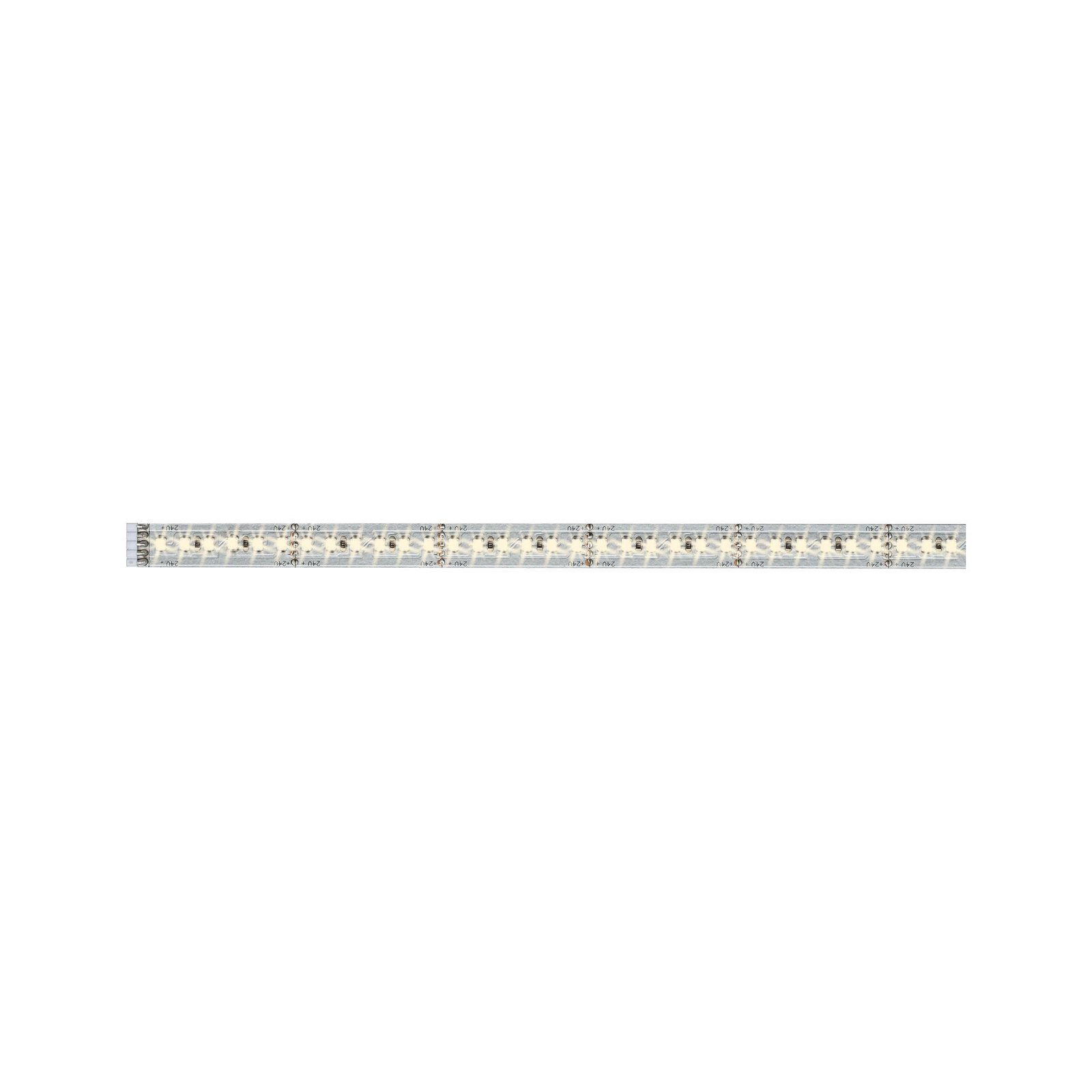 Paulmann LED-Streifen MaxLED 1000 Stripe 1m IP20 2700K 12W 24V Silber unbeschichtet, 1-flammig