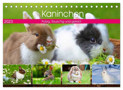 CALVENDO Wandkalender »Kaninchen. Putzig, flauschig und geliebt (Tischkalender 2023 DIN A5 quer)«