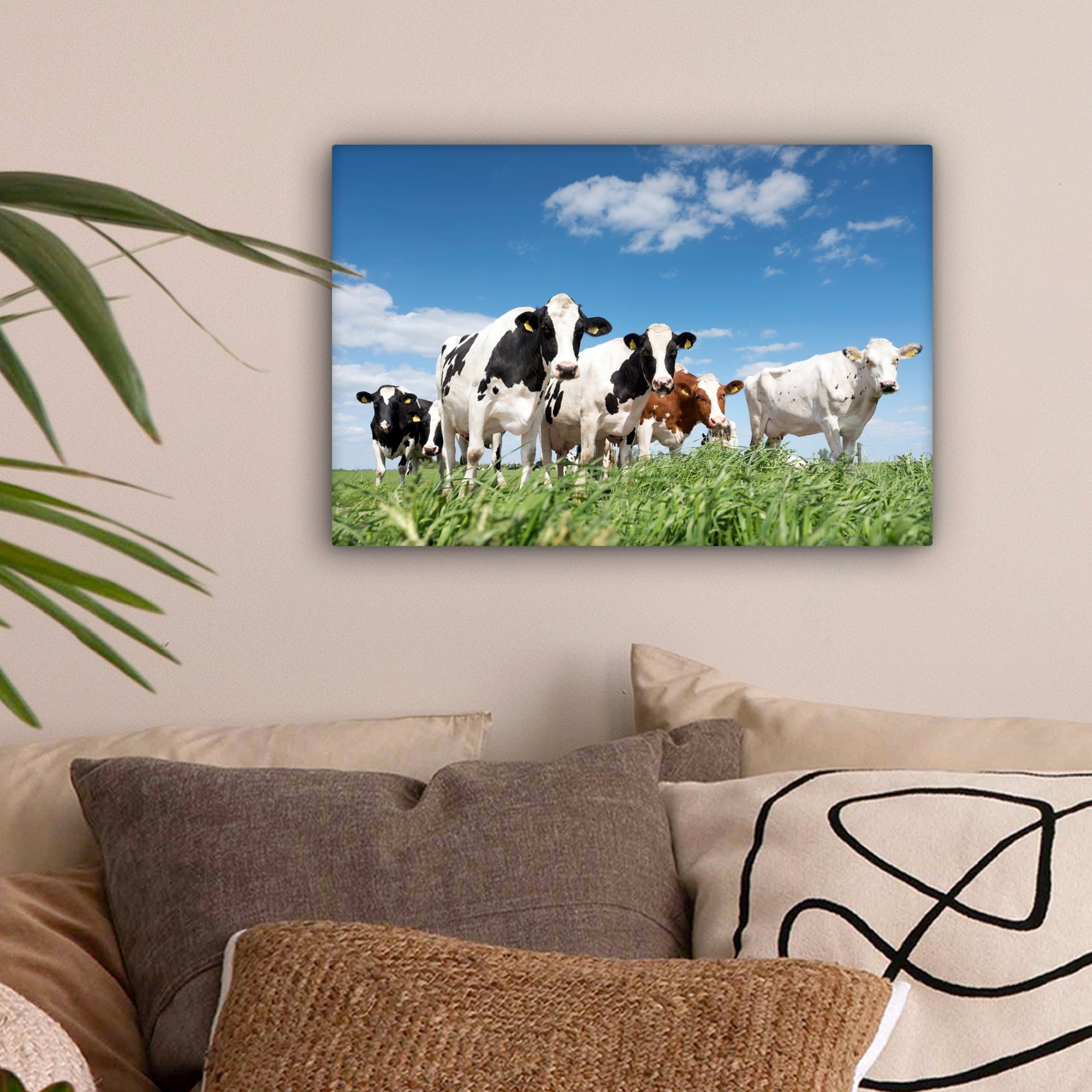 OneMillionCanvasses® Leinwandbild Kühe - Landleben - günstig online kaufen
