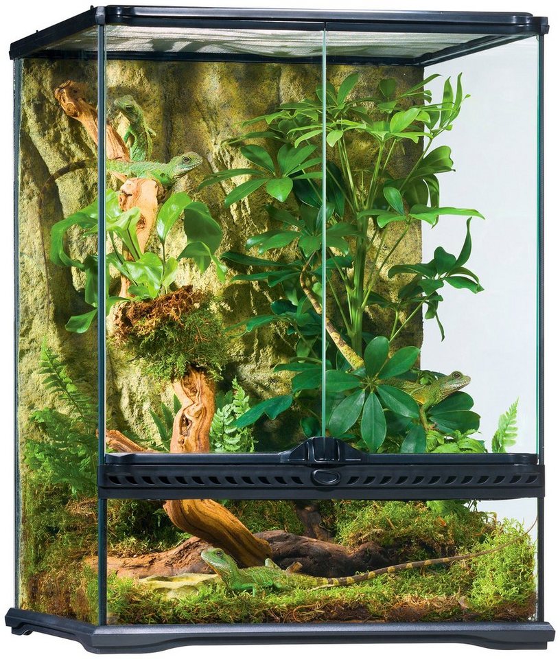 Exo Terra Terrarium, BxTxH: 45x45x60 cm, Top aus feinmaschigem