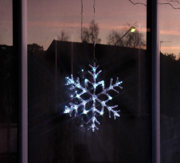 STAR TRADING Beleuchtetes Fensterbild "Antarctica" Acryl, warmweiß, 215lm, L400xH400xB10cm
