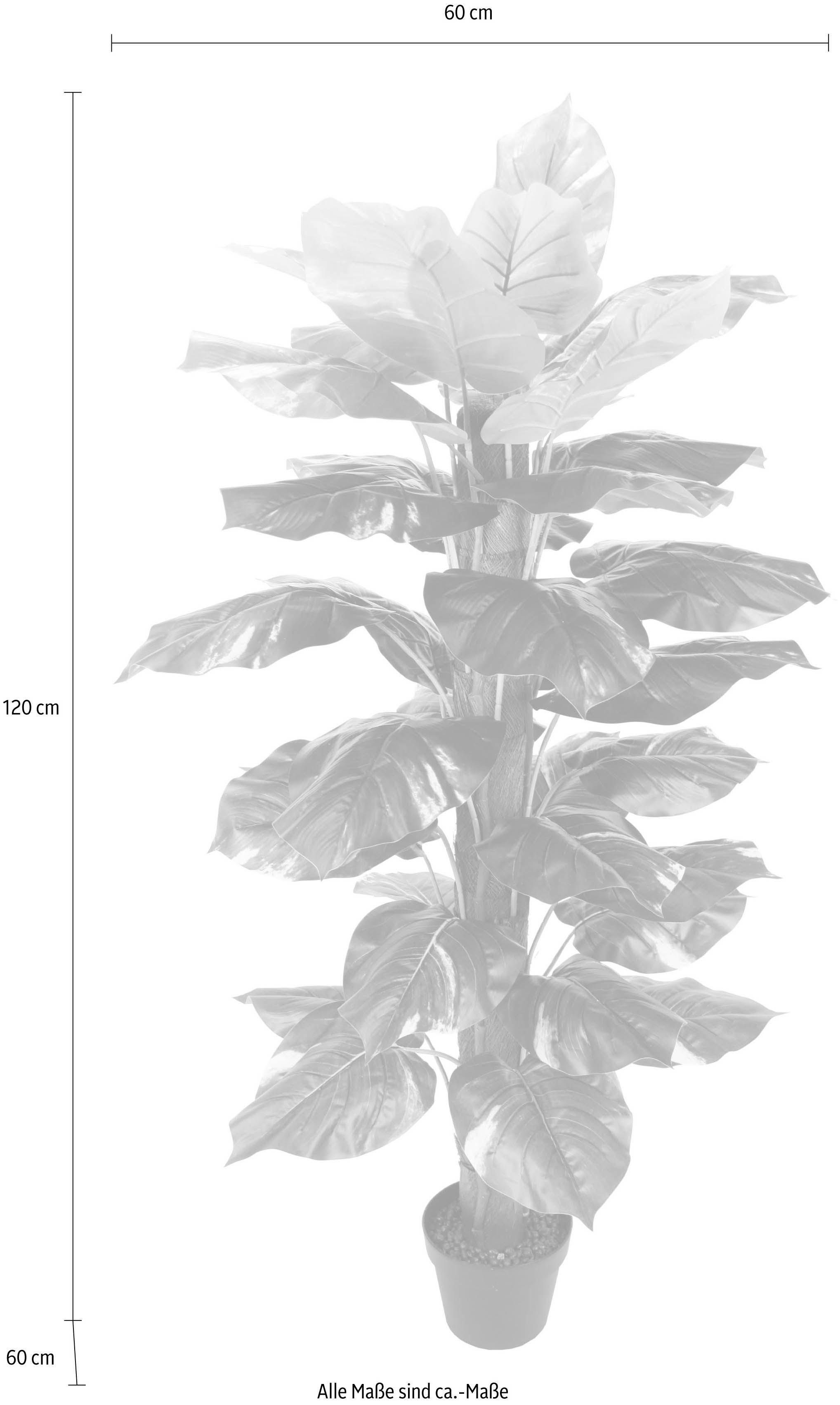 Kunstpflanze Pothospflanze, I.GE.A., Höhe 120 cm günstig online kaufen