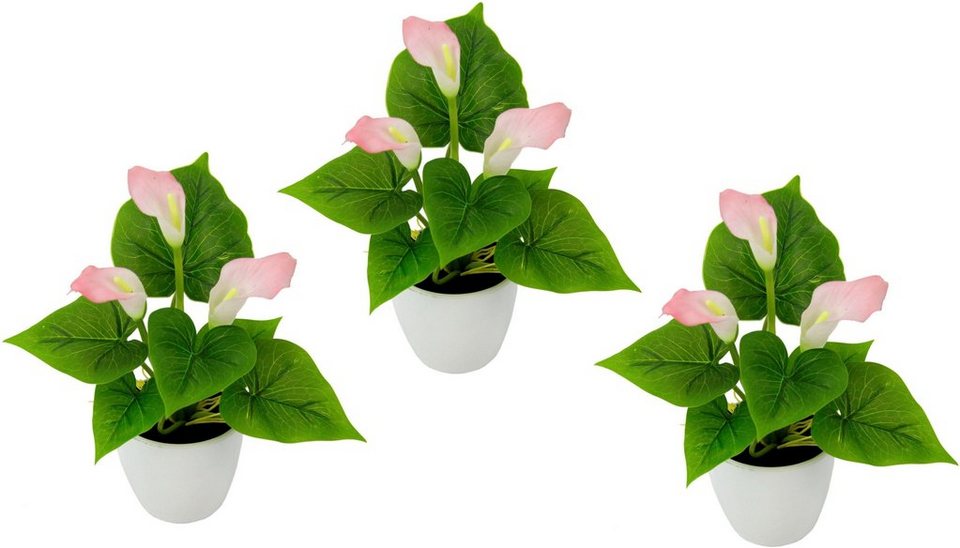 Kunstpflanze Mini Calla Calla, I.GE.A., Höhe 20 cm