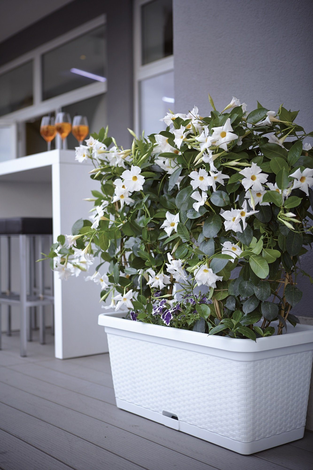 Kreher Blumenkasten Rollbarer Blumenkasten in Rattan-Optik, Breite 80 cm (Farbe wählbar)