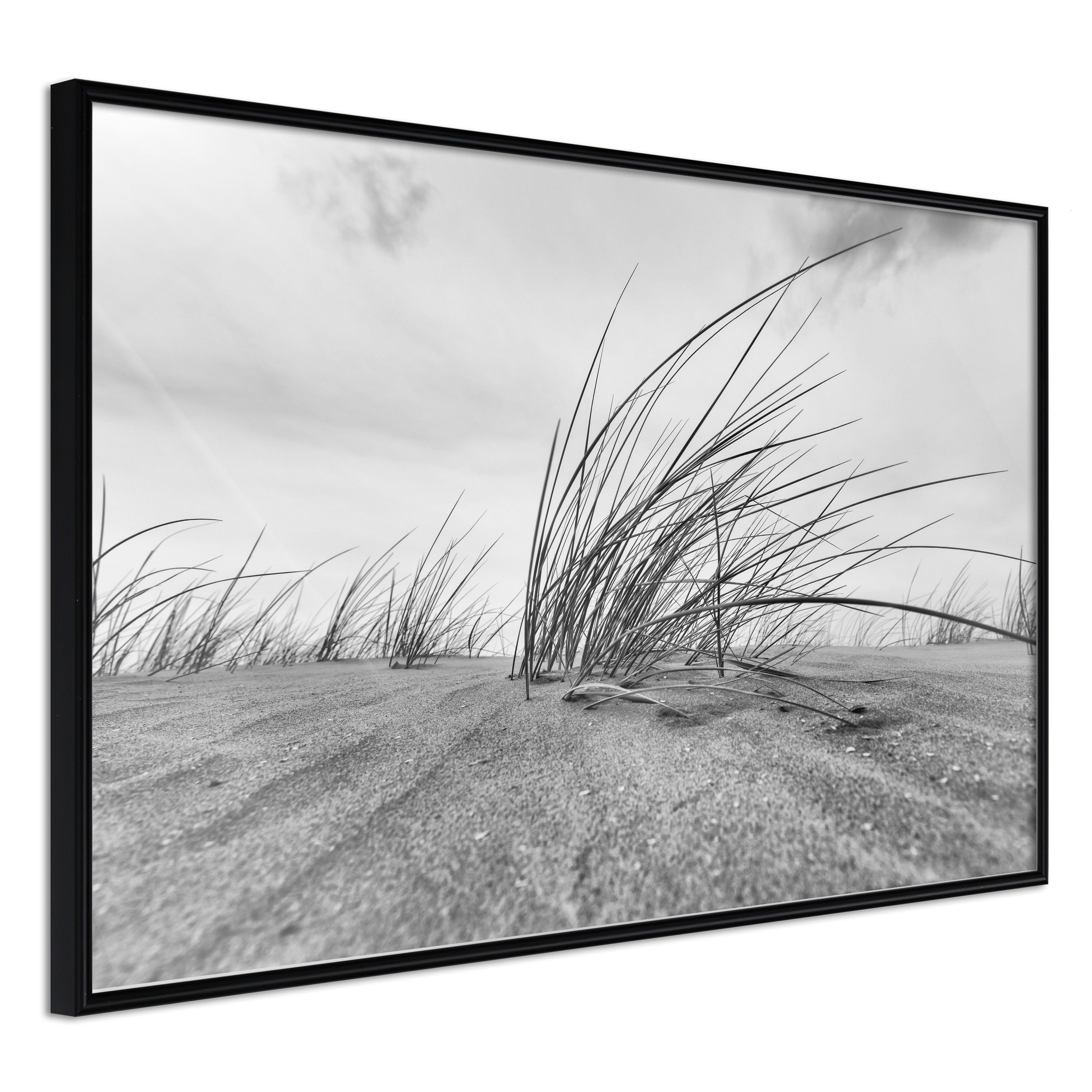 Artgeist Poster Seaside Reed