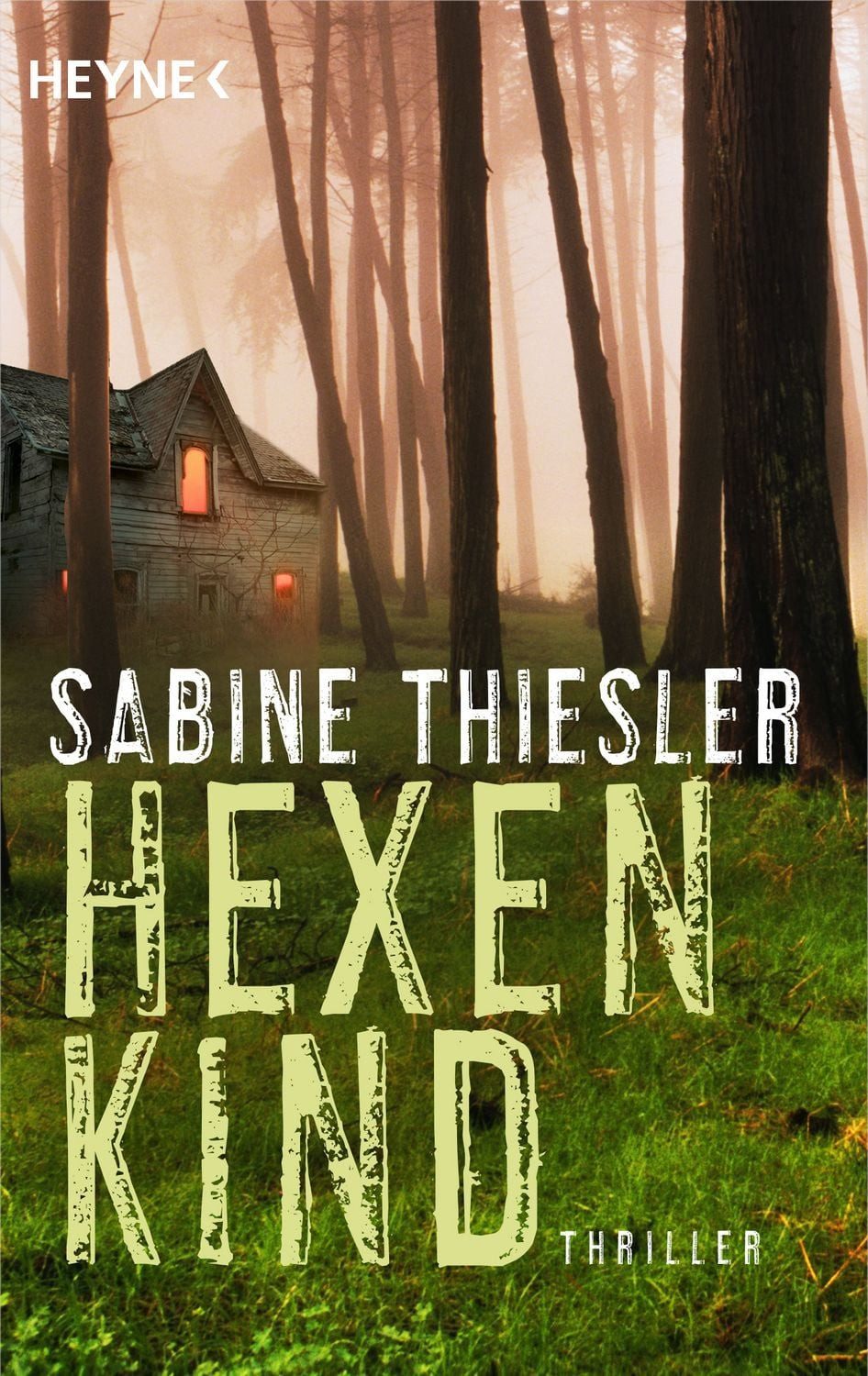 Hexenkind / Sabine Thiesler, Thriller