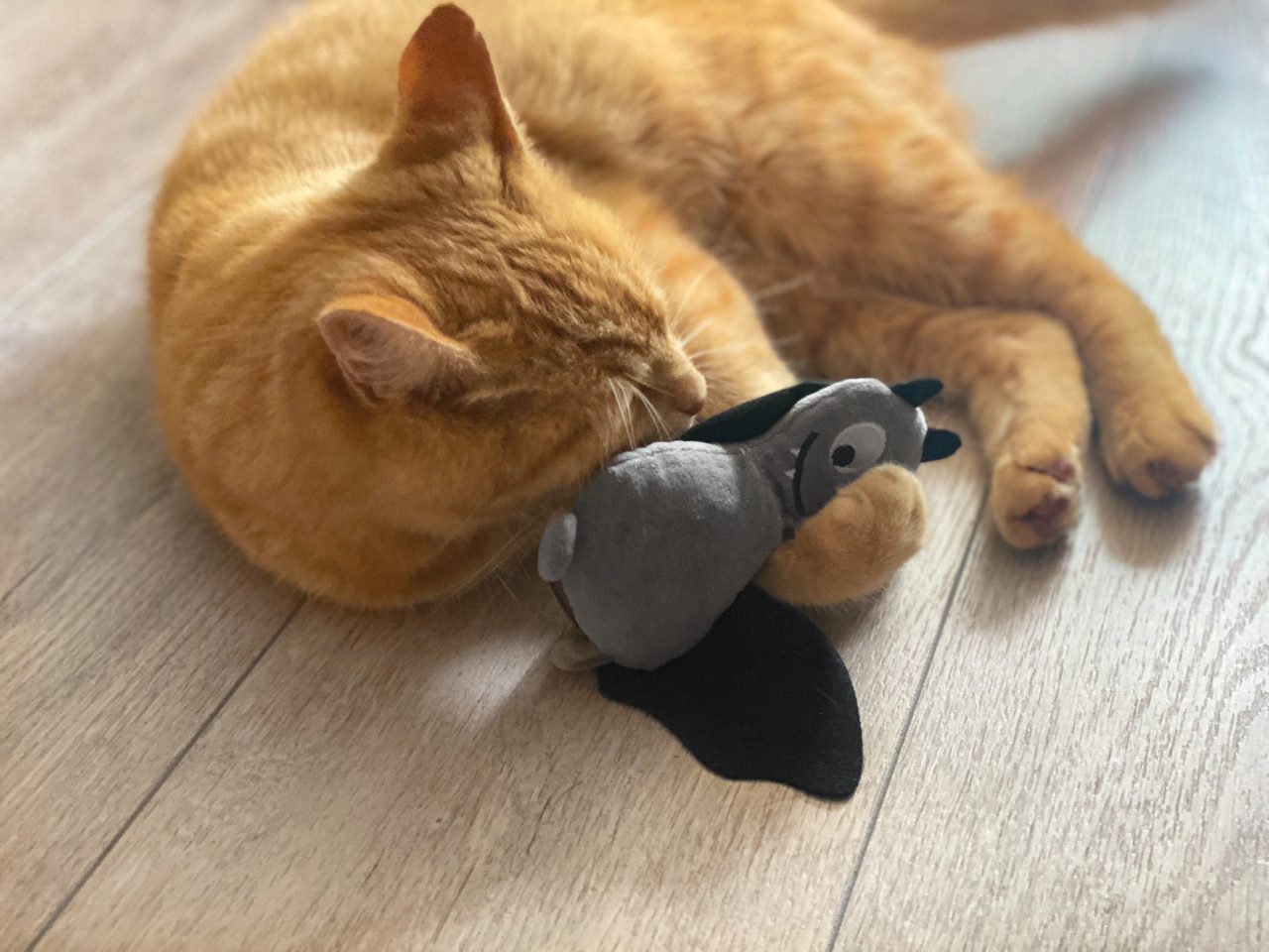 Aumüller Tierkuscheltier Aumüller Katzenspielzeug Frido Fledermaus 23 cm, Leder