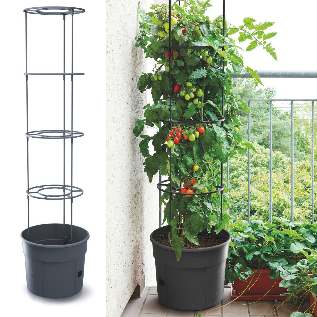nm_trade Pflanzkübel Tomatentopf Blumentopf Tomatenkübel Topf günstig online kaufen