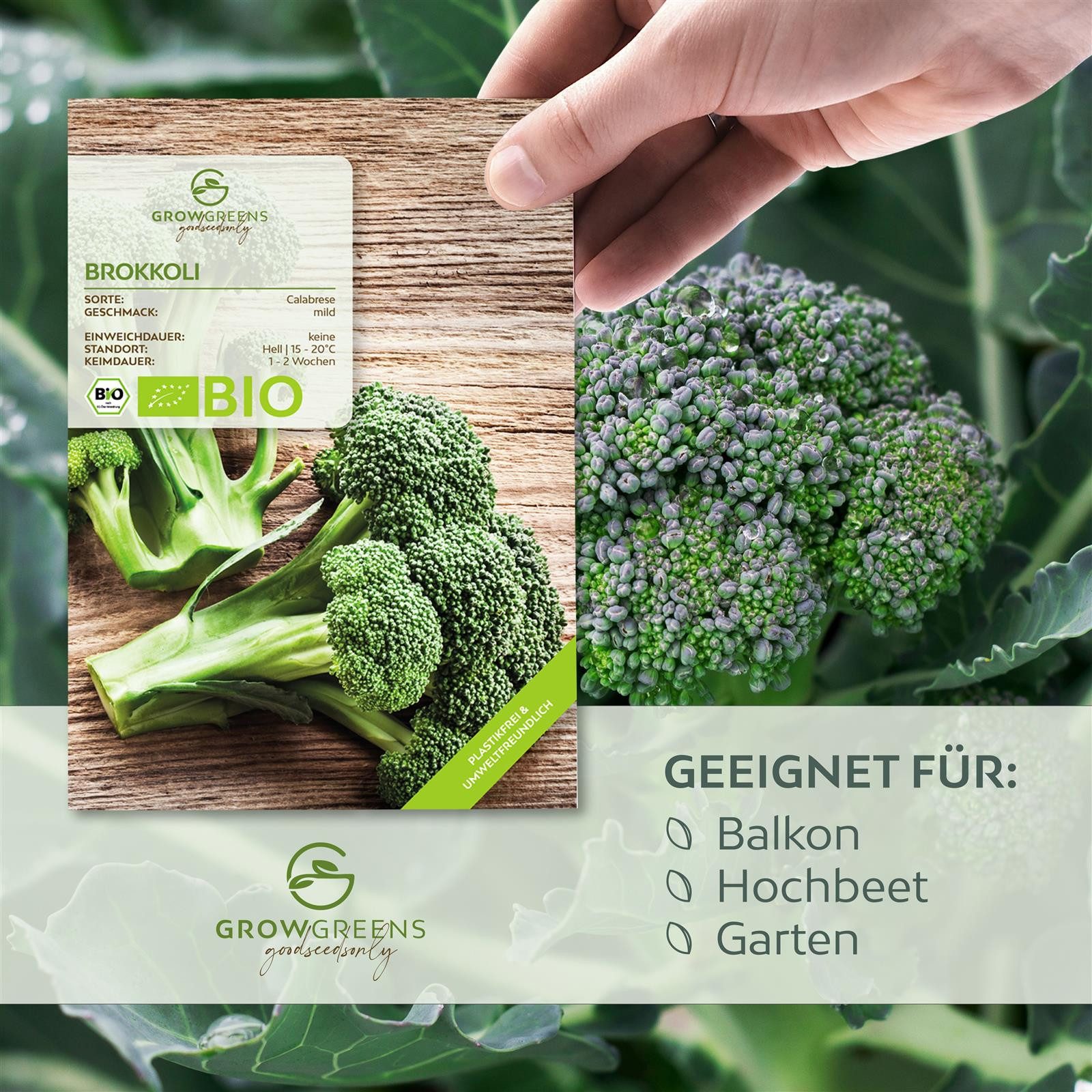 Thumbnail - Growgreens Gemüsesamen BIO Brokkoli Samen (Calabrese) - Saatgut aus bio. Anbau (50 Korn), Gemüse