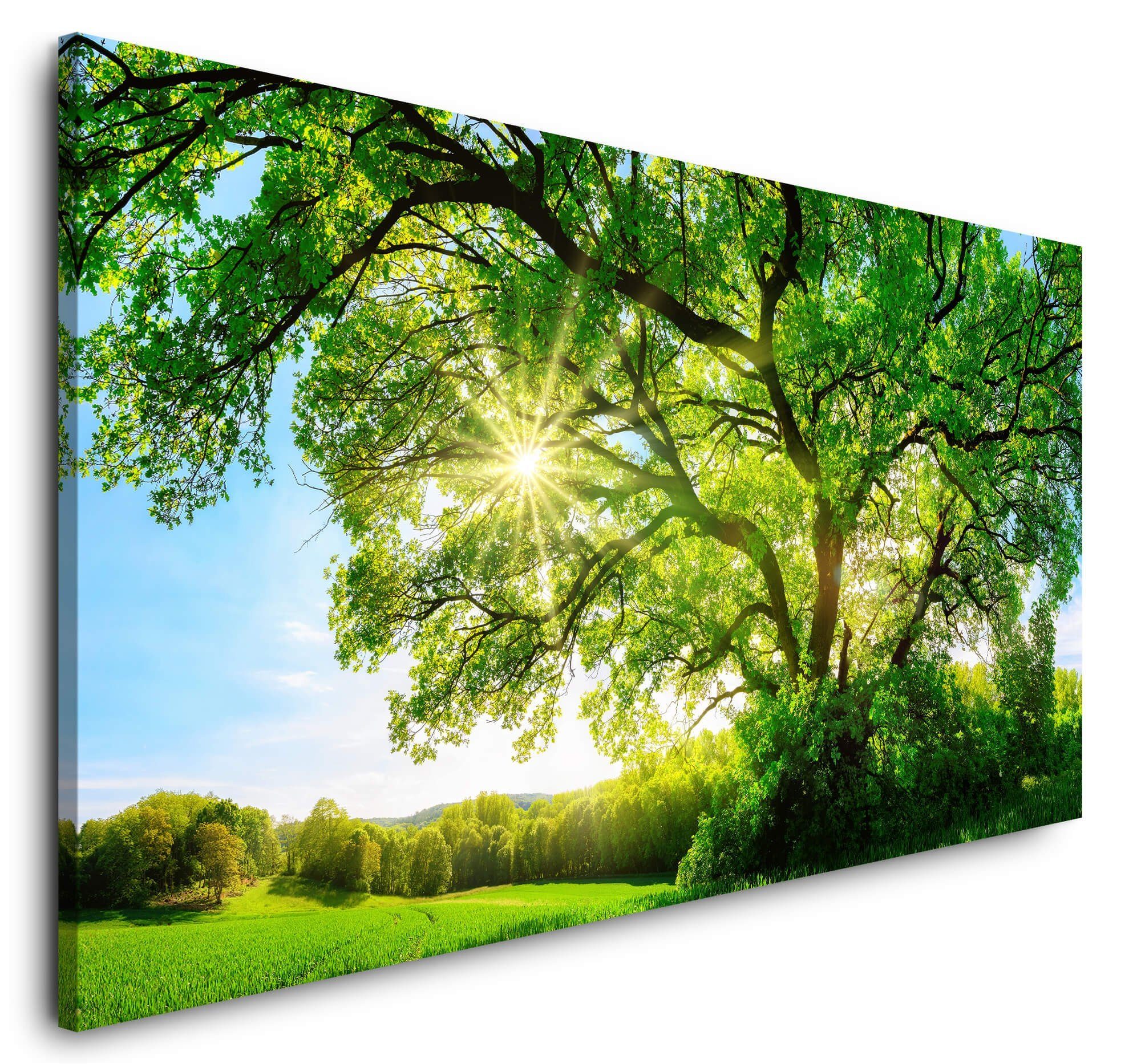 Sinus Art Leinwandbild, (1 St) günstig online kaufen