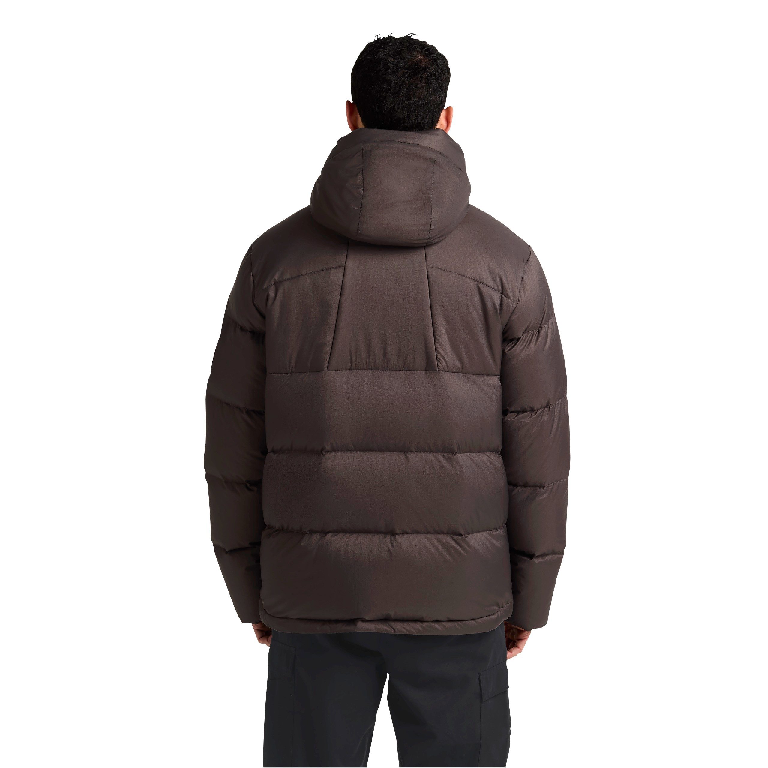 Jack Wolfskin Daunenjacke ICY HILL JKT M RDS winddicht, wasserabweisend, mit gefütterter Kapuze