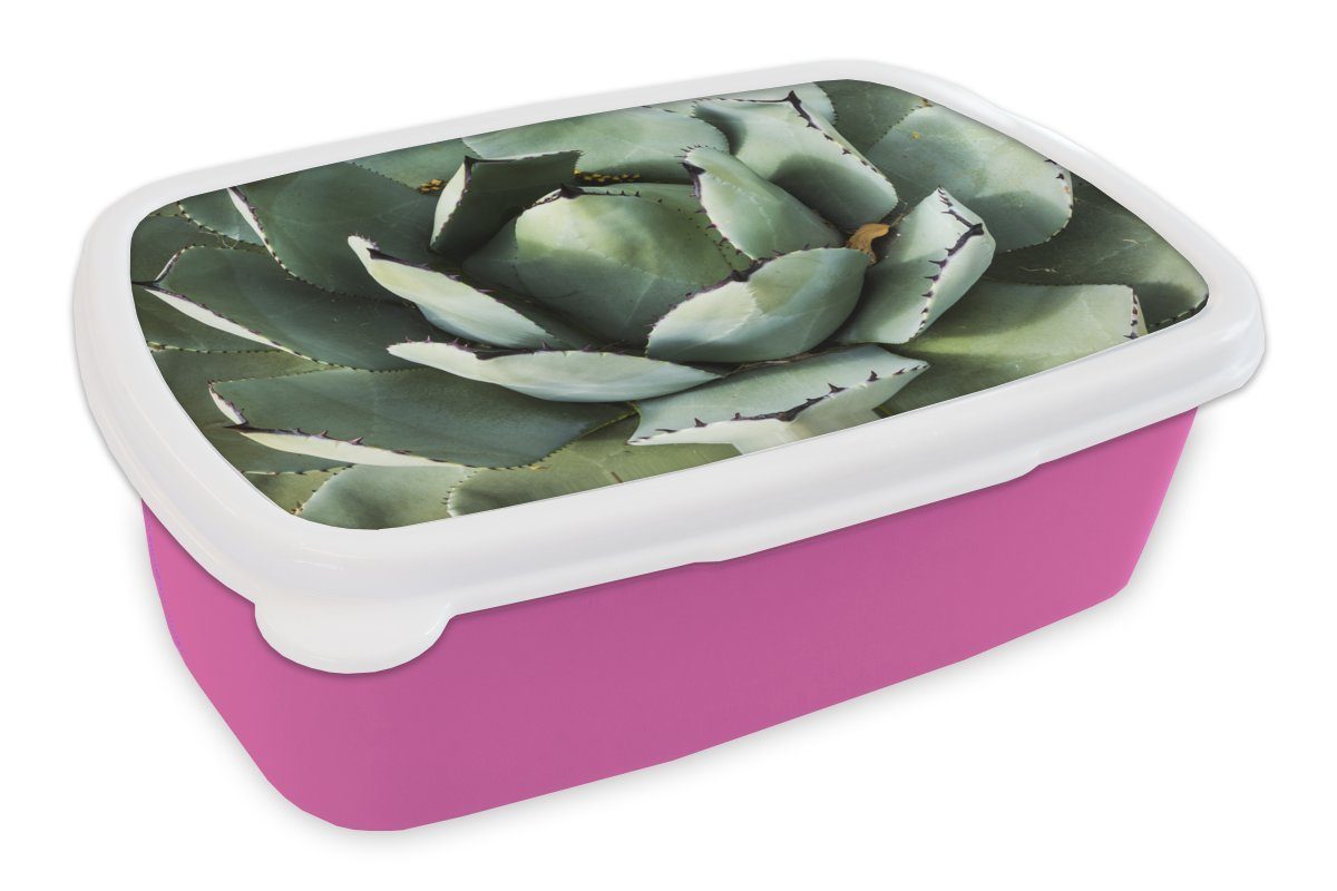 MuchoWow Lunchbox Detail eines mintgrünen Kaktus, Kunststoff, (2-tlg), Brotbox für Erwachsene, Brotdose Kinder, Snackbox, Mädchen, Kunststoff rosa