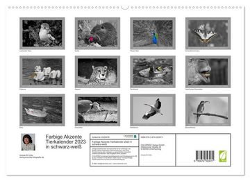 CALVENDO Wandkalender Farbige Akzente - Tierkalender 2023 in schwarz-weiß (Premium, hochwertiger DIN A2 Wandkalender 2023, Kunstdruck in Hochglanz)