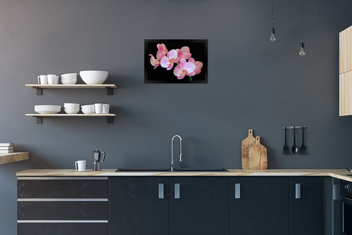 MuchoWow Poster Eine Nahaufnahme von rosa Orchideen auf einem schwarzen Hintergrund, (1 St), Gerahmtes Poster, Wanddeko, Bilder, Wandposter, Schwarzem Bilderrahmen