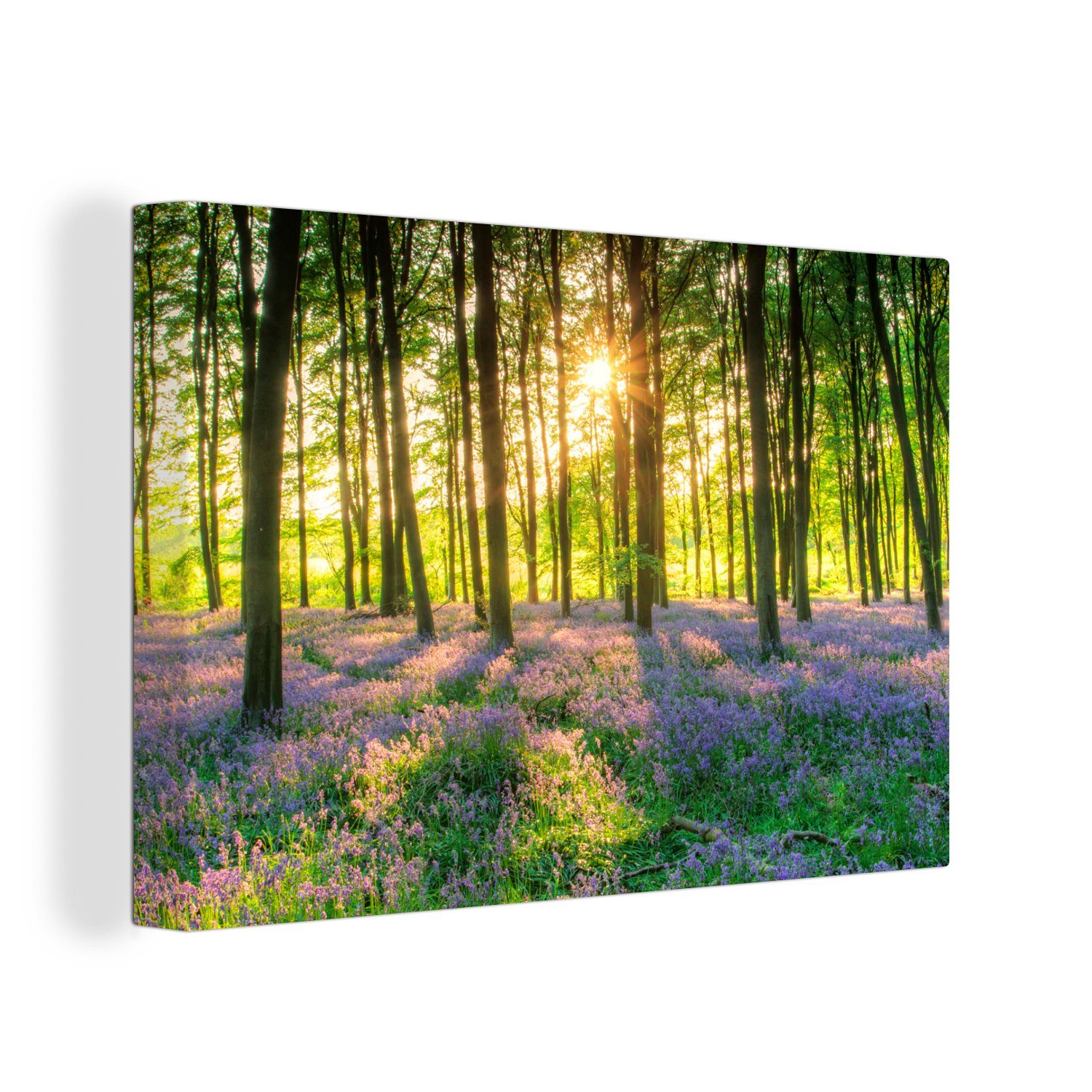 OneMillionCanvasses® Leinwandbild Frühling - Wald - Sonne, Frühlingswald (1 St), Wandbild Leinwandbilder, Aufhängefertig, Wanddeko, 30x20 cm bunt