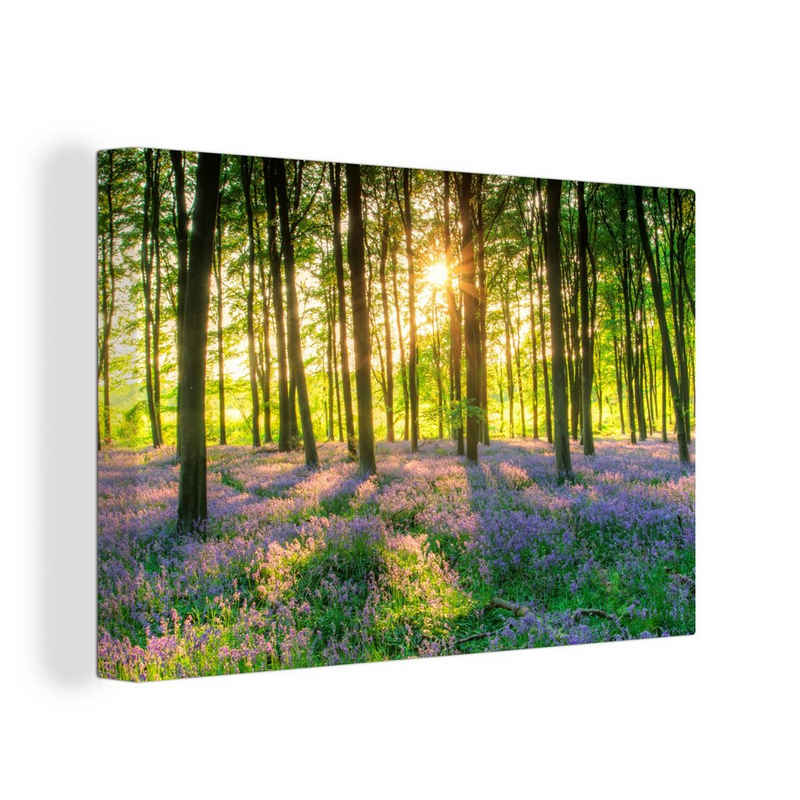 OneMillionCanvasses® Leinwandbild Frühling - Wald - Sonne, (1 St), Wandbild Leinwandbilder, Aufhängefertig, Wanddeko, 30x20 cm