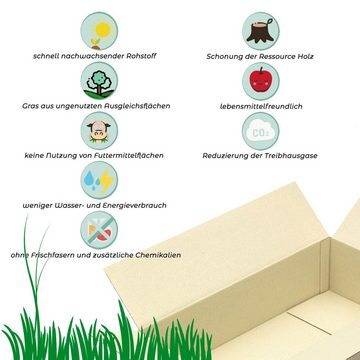 KK Verpackungen Versandkarton, 5 Graskartons 500 x 400 x 300 mm Nachhaltig Karton Postversand Braun-Grün