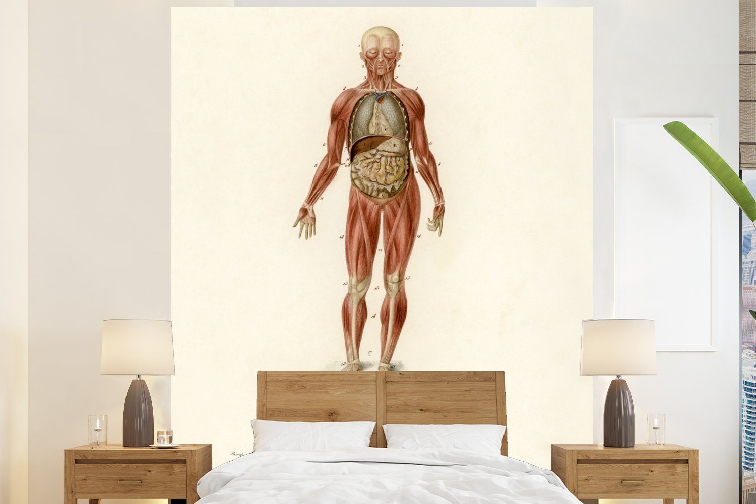 MuchoWow Fototapete Anatomie - Körper - Mensch, Matt, bedruckt, (3 St), Vliestapete für Wohnzimmer Schlafzimmer Küche, Fototapete