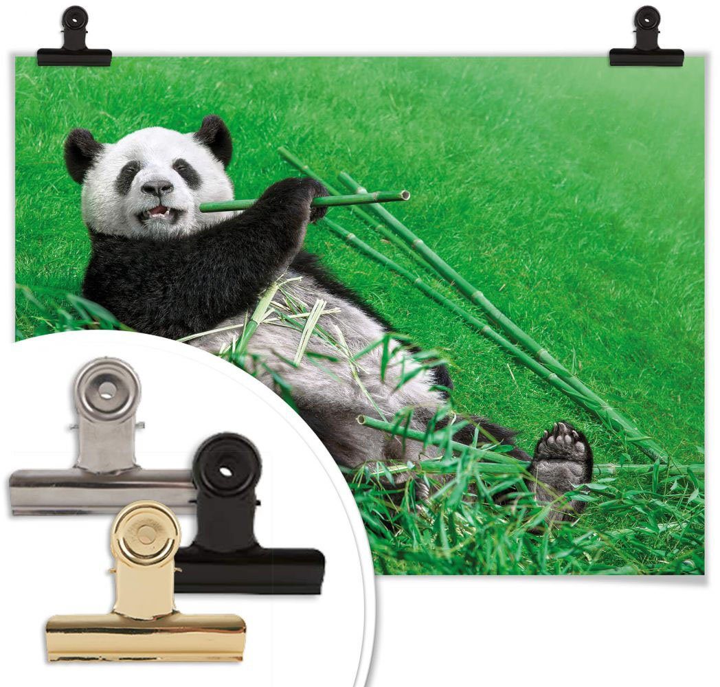 Wall-Art Poster Waldtiere Bambus Panda, (1 Wandbild, Bild, Poster, Tiere St), Wandposter