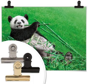 Wall-Art Poster Waldtiere Bambus Panda, Tiere (1 St), Poster ohne Bilderrahmen