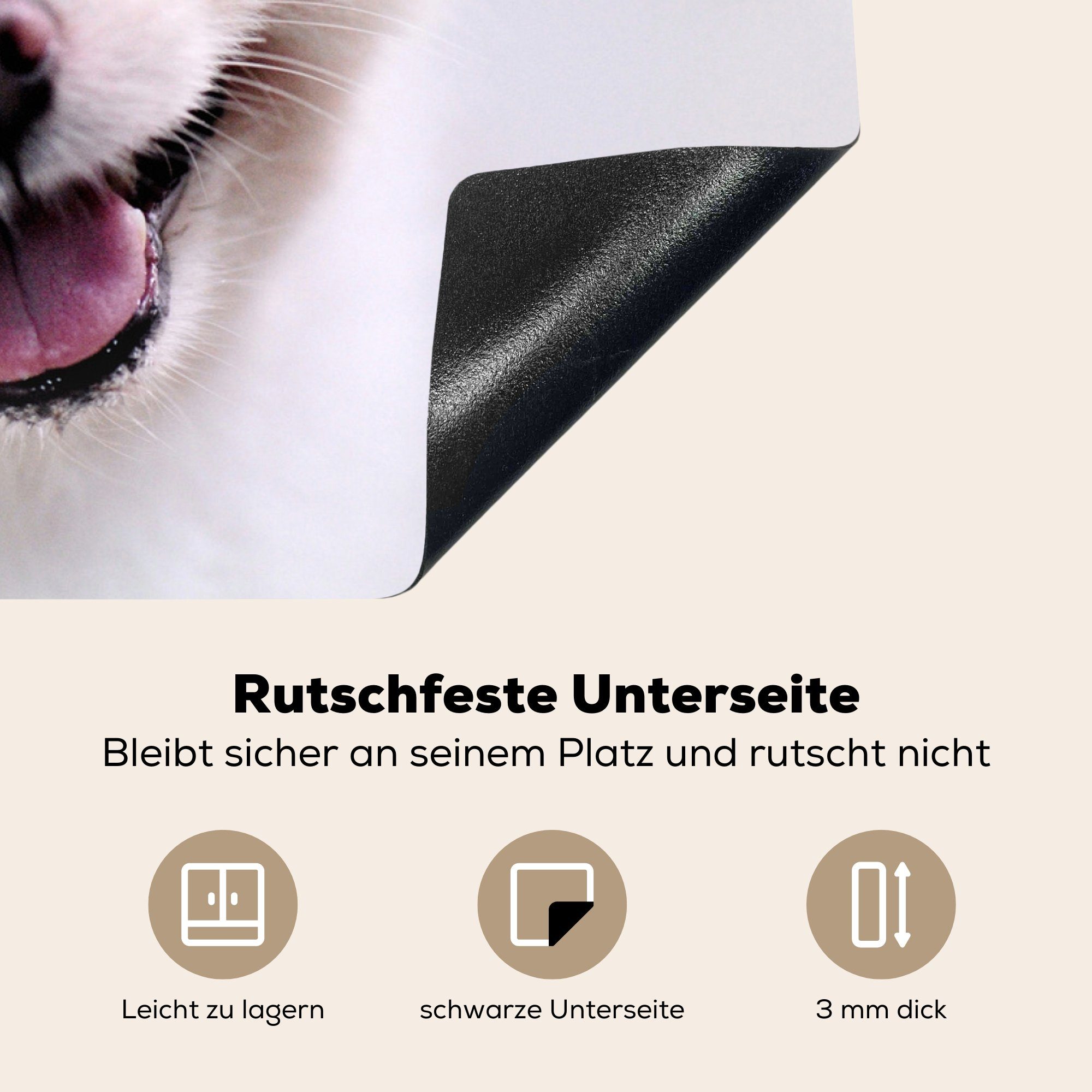 Pomeranian Vinyl, Ceranfeldabdeckung 81x52 (1 Schutz küche, Herdblende-/Abdeckplatte Nahaufnahme, tlg), MuchoWow cm, Induktionskochfeld für die