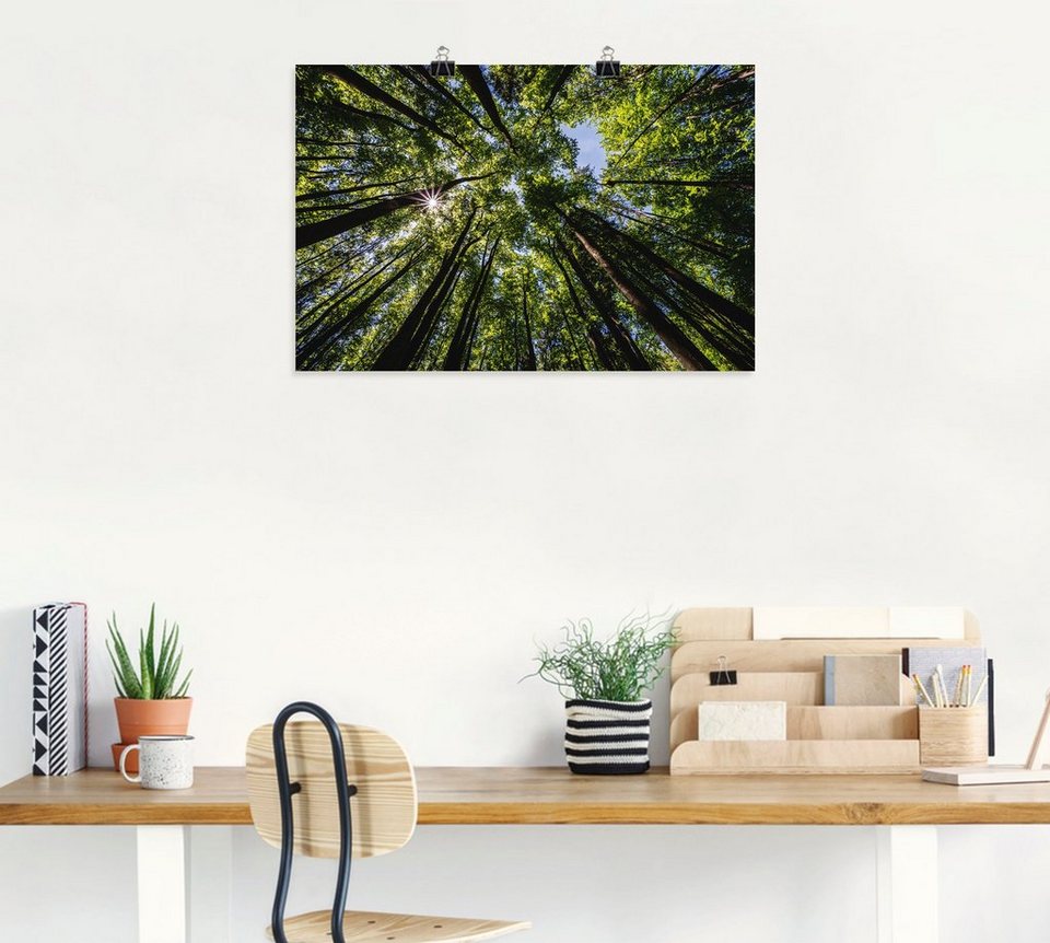 Artland Wandbild Bäume von unten im Sommer, Baumbilder (1 St), als Alubild,  Leinwandbild, Wandaufkleber oder Poster in versch. Größen